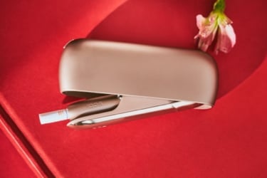 IQOS 3 DUO holder and HEETS stick in charger on a red fabric beside a pink flower